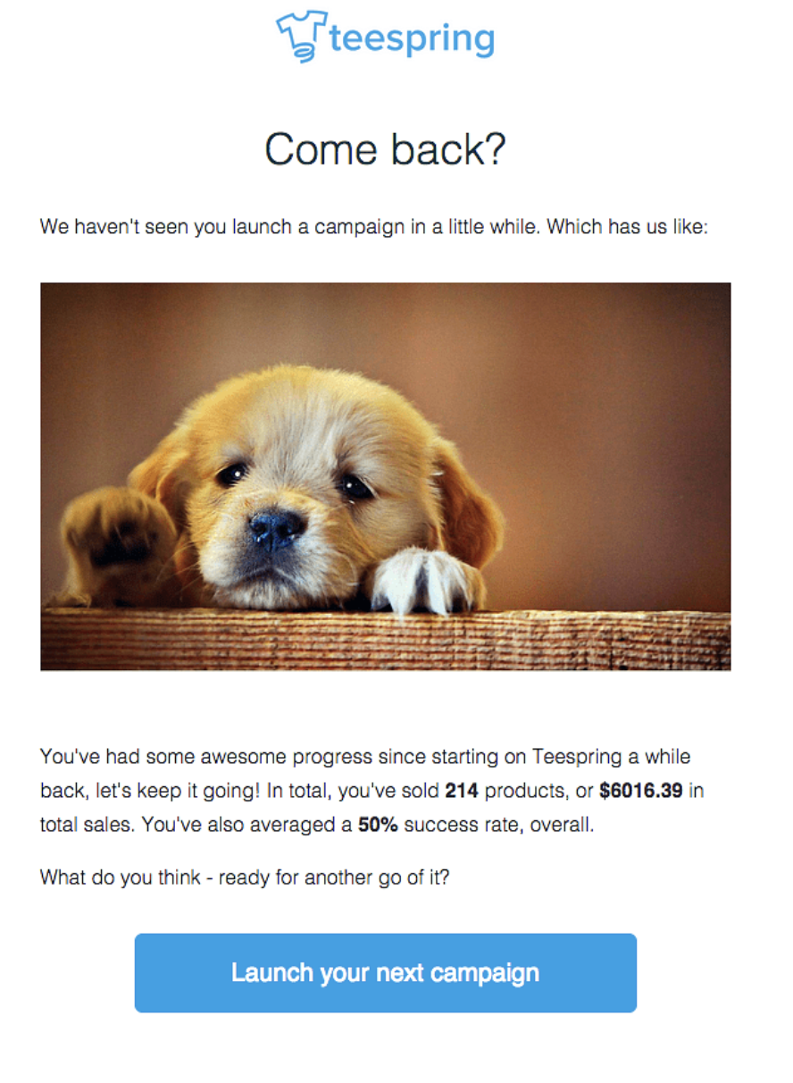 Screenshot of Teespring's humorous email